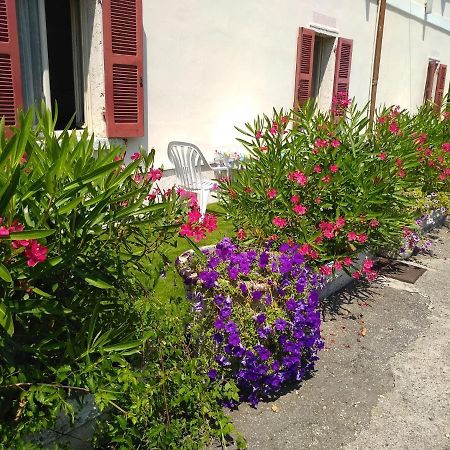 Albergo Grifone 1891 Peschiera del Garda Exterior foto